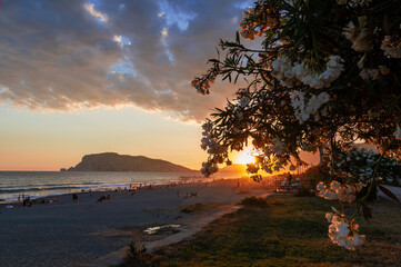 Sunset on the beach. Paradise beach. Tropical paradise, white sand, beach, palm trees and clear water