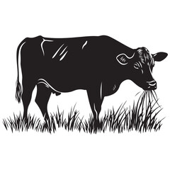 Cow silhouette Vector Illustration, Cow Grazing On Meadow, Dairy farm cow vector silhouette icon. Beef cattle cow animal farmer isolated illustration