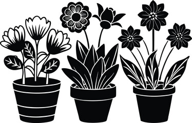 Different types flowers in pots vector.eps