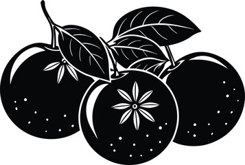 Oranges silhouette vector on white background art.eps