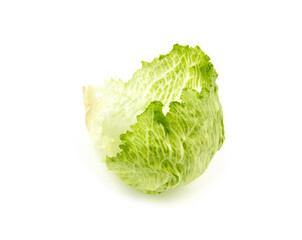 Green iceberg lettuce leaf isolated on white background