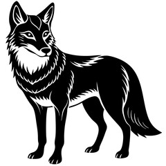 illustration of fox with white background 