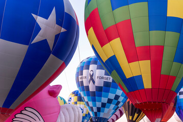 Fototapeta premium Hot Air Balloon Festival Albuquerque