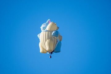 Hot Air Balloon Festival Albuquerque