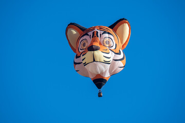 Hot Air Balloon Festival Albuquerque