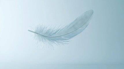   A white feather floats on a light blue backdrop with a blurry bird tail