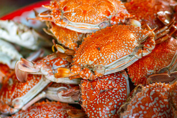 Sea crabs, ingredients for cooking, sold in traditional markets