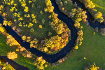 A drone shot capturing a stunning autumn forest scene. The trees are dressed in vibrant shades of red, orange, and yellow, highlighting the rich textures and colors of the season from above.