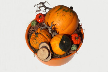 Various ornamental gourds in a plastic flower pot. White background. Family Cucurbitaceae. Autumn,...