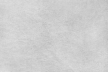 Structure of genuine leather, shiny white leatherette surface with slightly grainy texture