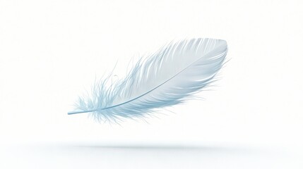   A close-up photo of a pure white feather against a stark white backdrop, featuring a mirror reflection of the feather on the right side of the shot