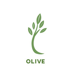 Fototapeta premium olive branch icon, vector olive green leaf logo template nature beauty and healthy. 