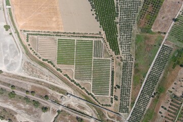 Fototapeta premium allevamento di lumace in campagna visto dall'alto con un drone