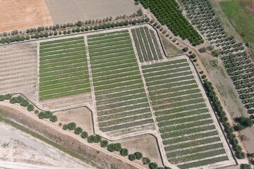 allevamento di lumace in campagna visto dall'alto con un drone