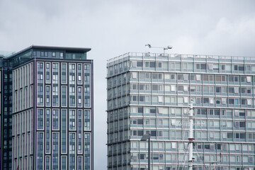 Modern high rise city office block