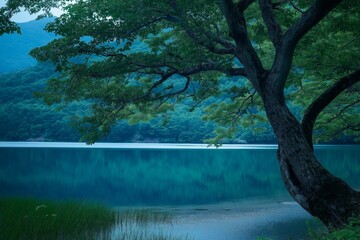 Obraz premium A tree is in front of a lake with a blue sky. The lake is calm and peaceful