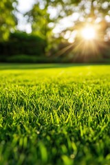 Naklejka premium A bright sunny day with a large sun shining on a green field. The sun is casting a warm glow on the grass, making it look fresh and inviting. The scene is peaceful and serene