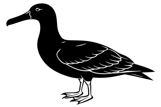 recommend clip art: Cute Albatross silhouette minimalistic vector art illustration