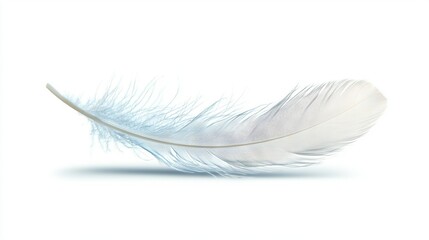 Obraz premium A white feather against a white backdrop, with shadows beneath the feather on both the top and bottom