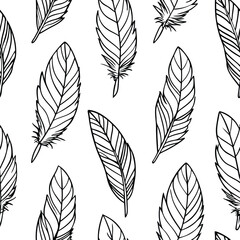 Fototapeta premium Bird Feather Line Art Vector Illustration