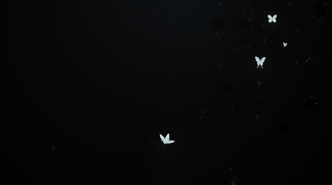 Wei&szlig;e Schmetterlinge tanzen vor schwarzem Hintergrund