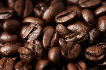 Closeup, texture and natural coffee beans for production, latte and cappuccino with brewing process. Sustainability, eco friendly and healthy organic caffeine for beverage, roasting and espresso