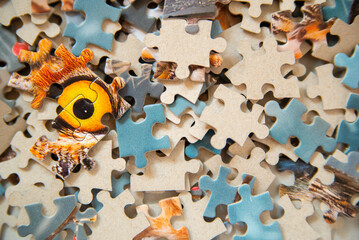 jigsaw puzzle pieces