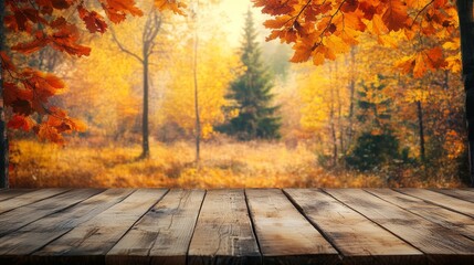 Fall background. Wooden table top in autumn forest