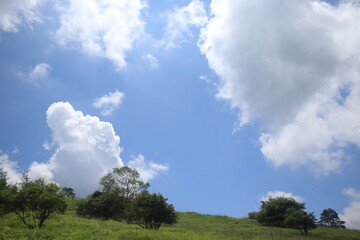 Obraz premium 自然 風景