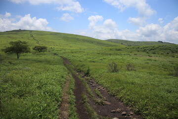 Obraz premium 自然 風景