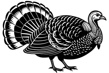  Cute Turkey silhouette minimalistic vector art illustration 