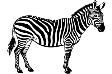  Cute Zebra silhouette minimalistic vector art illustration