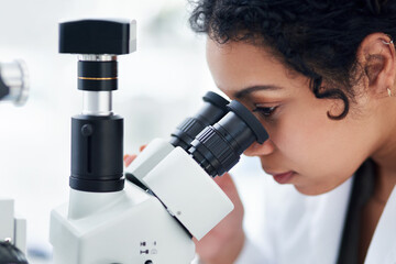 Scientist, study and woman with microscope in lab for medical pathogen, exam and research...