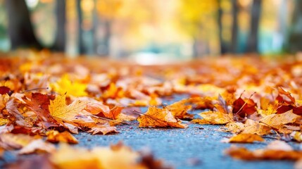Golden Autumn Leaves on Pavement