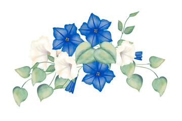 Floral arrangement with blue and white petunia flowers, with green foliage, festive watercolor illustration for printing and web design