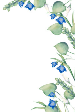 Border frame with bellflower flowers and leaves, white pitunia buds, grass stems and green wheat ears, wedding watercolor illustration for printing and web design