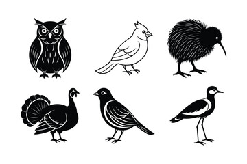 set of animals on bird