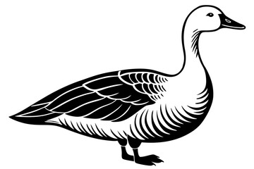 snow goose silhouette minimalistic vector art illustration © Jhanto