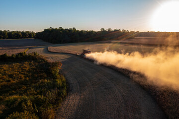 Fototapeta premium Soy Beans being Harvested at sunset