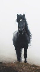 Fototapeta premium Majestic Black Horse Standing Alone on Misty Terrain