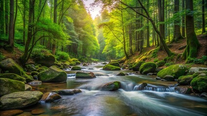 Fototapeta premium Serene Stream Winding Through a Verdant Forest, Bathed in the Soft Glow of the Morning Sun
