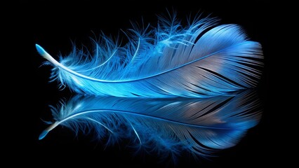 Naklejka premium A single blue feather suspended in the air with a dark background, casting a mirrored reflection underneath it.