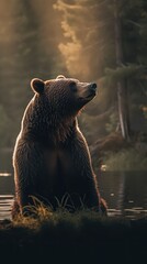 Obraz premium Majestic Brown Bear Resting in Sunlit Forest Landscape