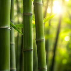 Fototapeta premium A close-up of bamboo shoots, their smooth green surface catching the sunlight