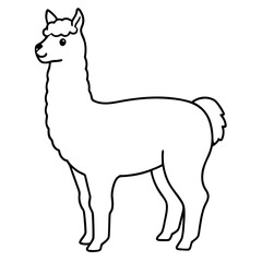 Alpaca line art vector