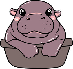Cute Baby Pygmy Hippo Bouncy pig in basin cartoon character