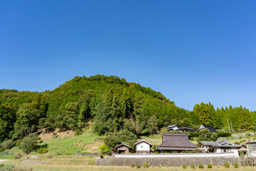 むっちゃ爽やかな能勢の自然