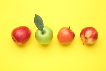 Red apples and green one on yellow background, flat lay