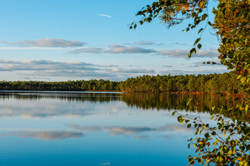 A peaceful scene featuring a calm lake reflecting a dense forest under a clear blue sky. The grassy shoreline is bathed in warm, golden light, adding depth and tranquility to the landscape.