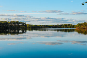 A peaceful scene featuring a calm lake reflecting a dense forest under a clear blue sky. The grassy shoreline is bathed in warm, golden light, adding depth and tranquility to the landscape.